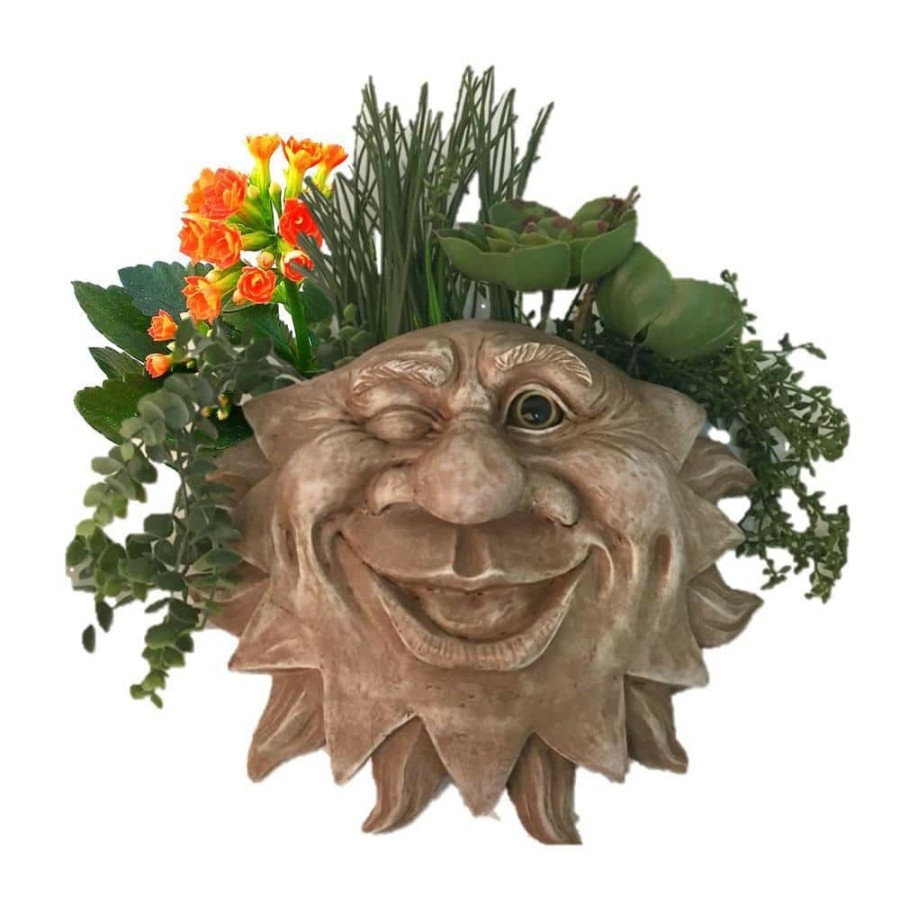 Outdoor Decor * | Homestyles 13 In. Stone Wash Mr. Sun Shine Muggly Tree Face Wall Statue Planter