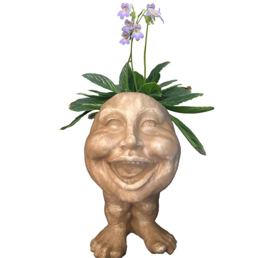 Outdoor Decor * | Homestyles 12 In. Stone Wash Aunt Minnie The Muggly Statue Face Planter Holds 4 In. Pot