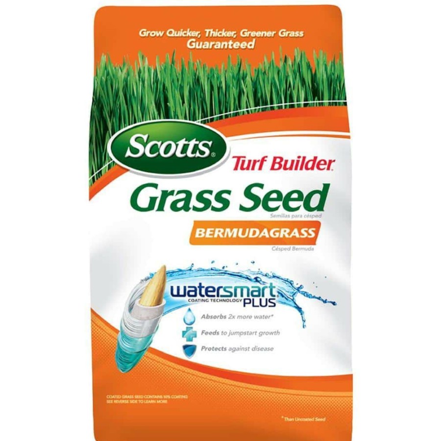 Lawn Care * | Scotts 1 Lb. Turf Builder Bermuda Grass Seed