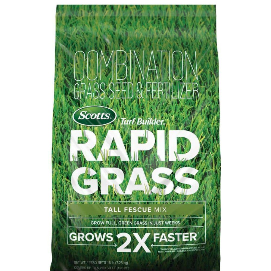 Lawn Care * | Scotts Turf Builder Rapid Grass 16 Lb. Tall Fescue Grass Seed